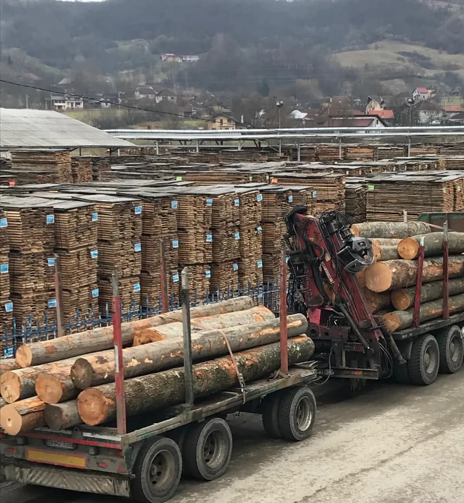 Automated wood processing Palrom
